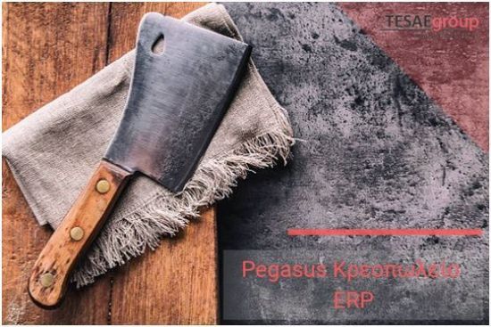 Picture of Pegasus Κρεοπωλείο ERP Start Up
