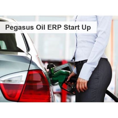Εικόνα της Pegasus Oil ERP Start Up
